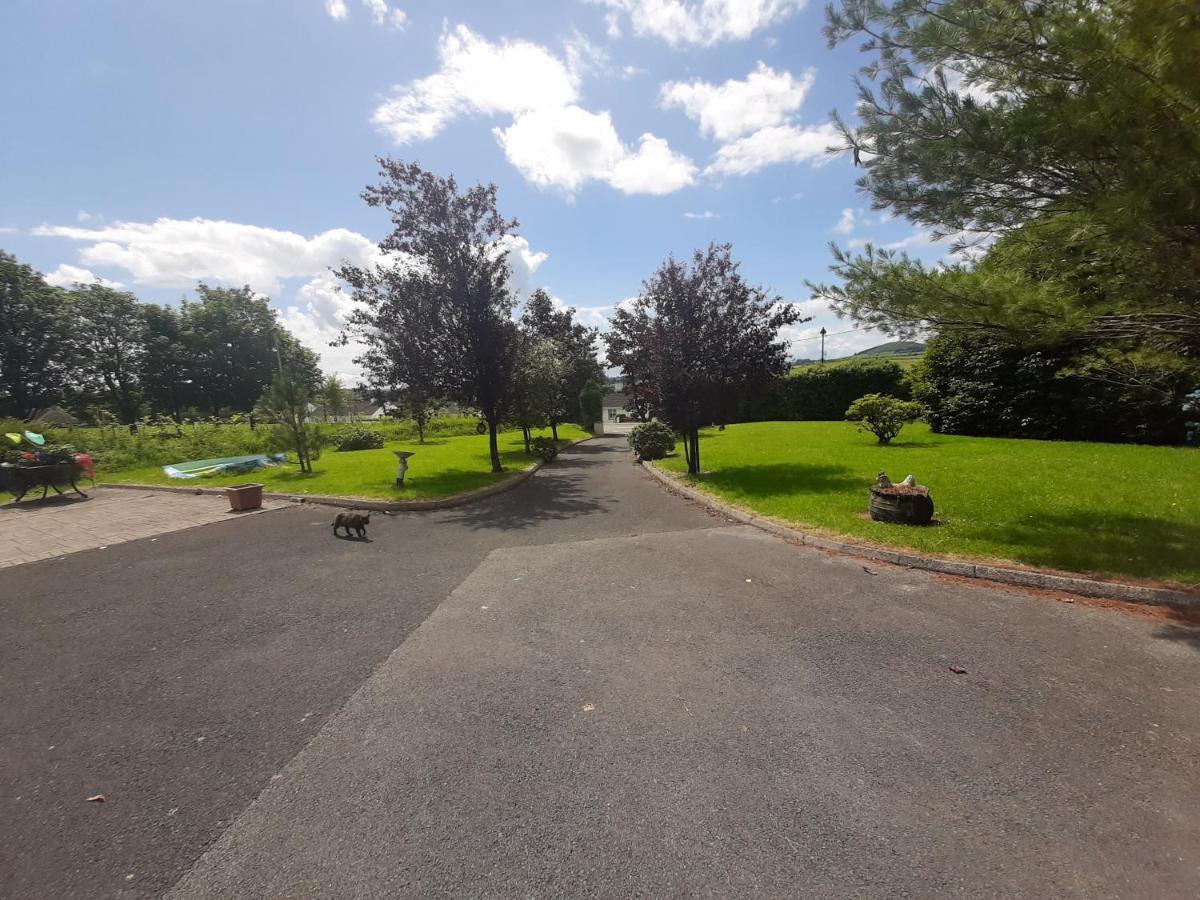 The Laurels Villa Waterford Bagian luar foto